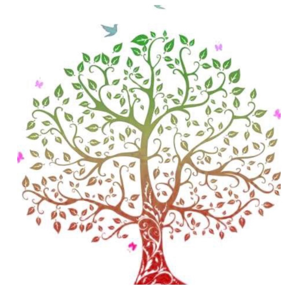 Meet your Posher, Ana